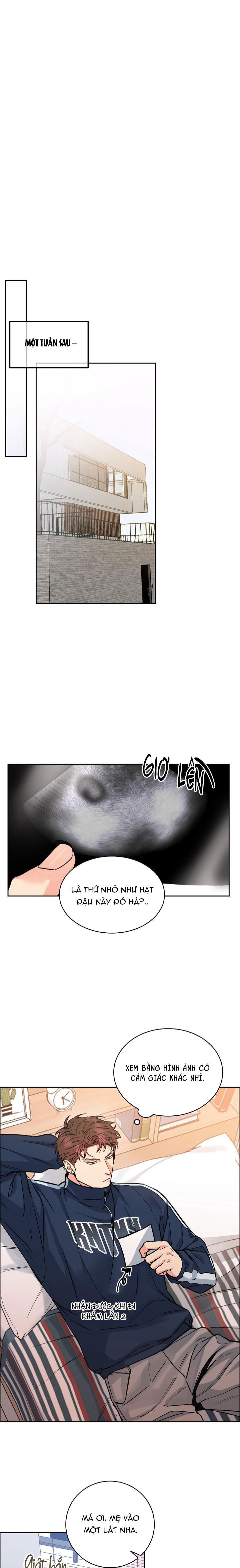 Đọc truyện CHÓ VÀ CHIM - Chapter 33