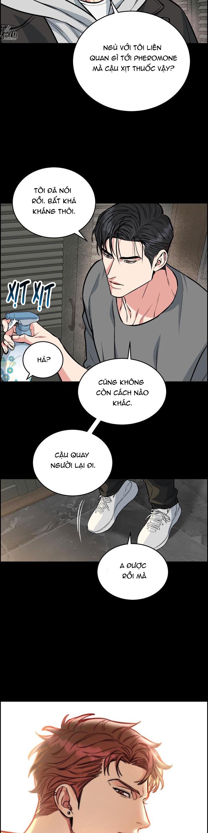 Đọc truyện CHÓ VÀ CHIM - Chapter 37