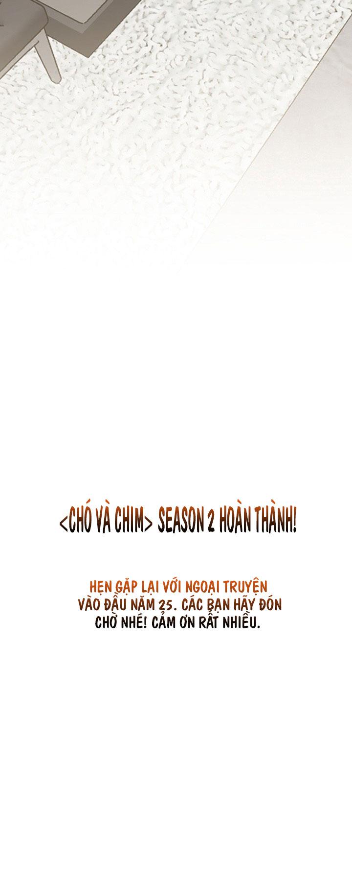 Đọc truyện CHÓ VÀ CHIM - Chapter 45