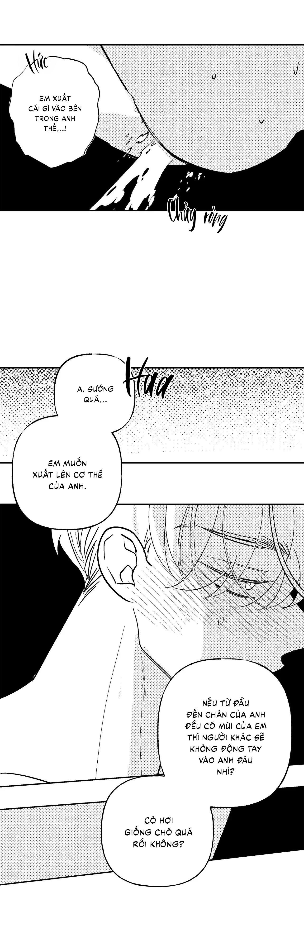 Đọc truyện (CBunu) Sự kết hợp hoàn hảo - Chapter 47