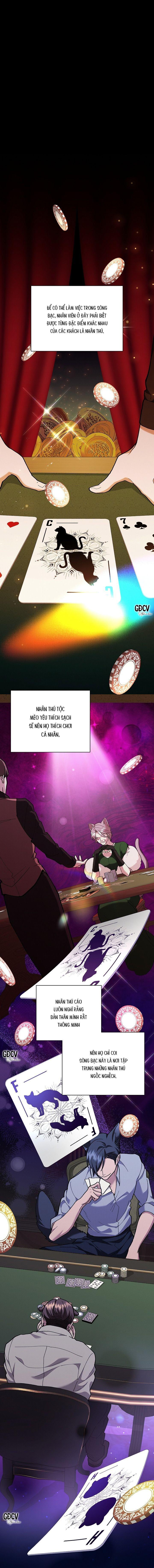 Đọc truyện ĐỪNG CHẠM VÀO CÚN CON CỦA TÔI - Chapter 5