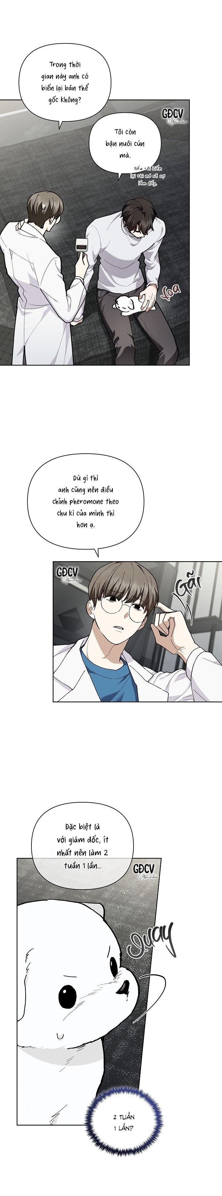 Đọc truyện ĐỪNG CHẠM VÀO CÚN CON CỦA TÔI - Chapter 7