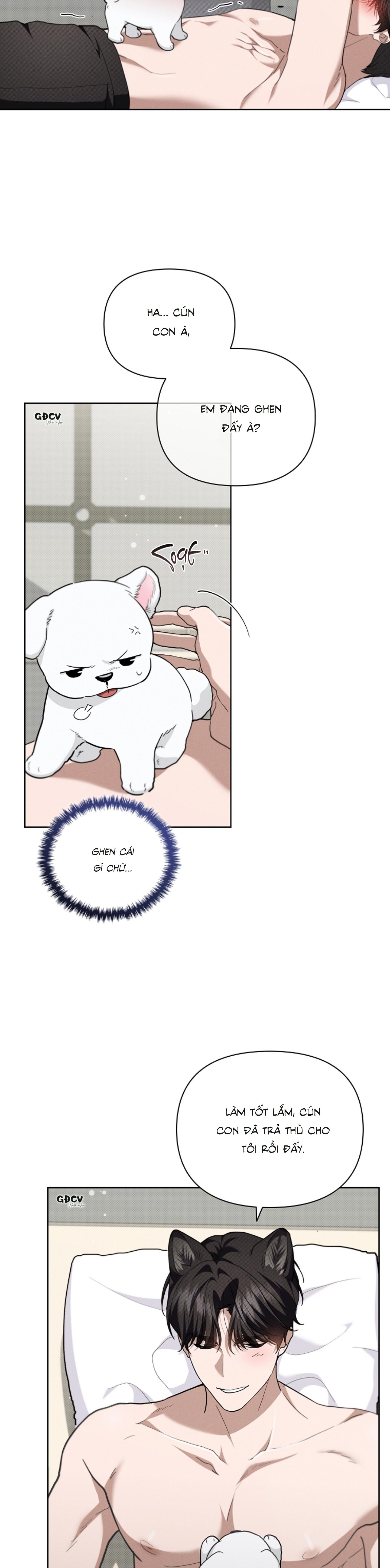 Đọc truyện ĐỪNG CHẠM VÀO CÚN CON CỦA TÔI - Chapter 21
