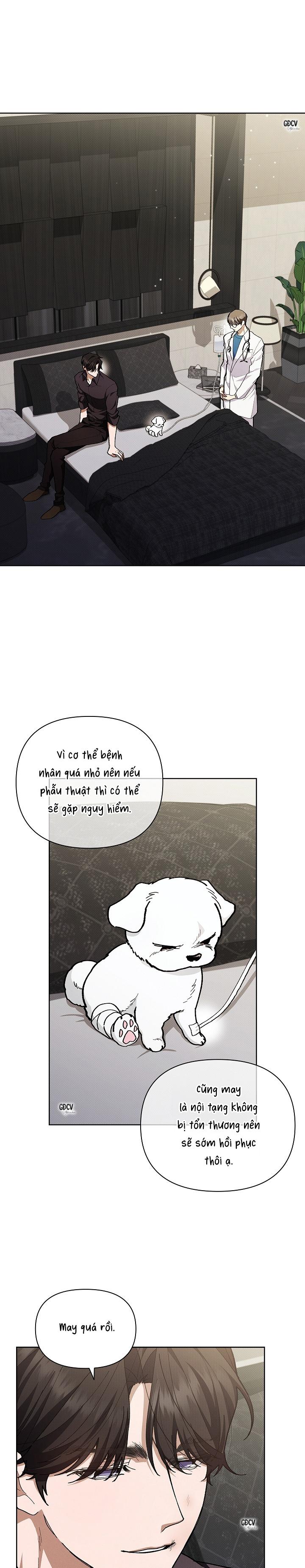 Đọc truyện ĐỪNG CHẠM VÀO CÚN CON CỦA TÔI - Chapter 4