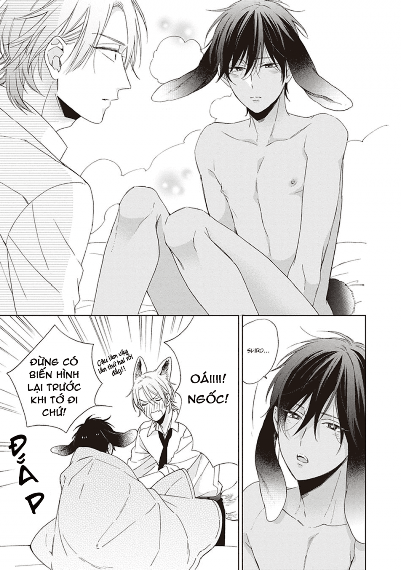 Đọc truyện Ookami-kun không đáng sợ chút nào - Chapter 4