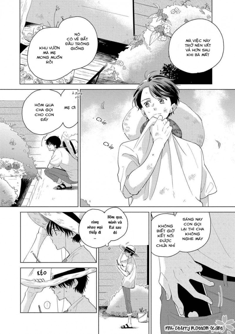 Đọc truyện Mùa Hoa Anh Đào - Chapter 5