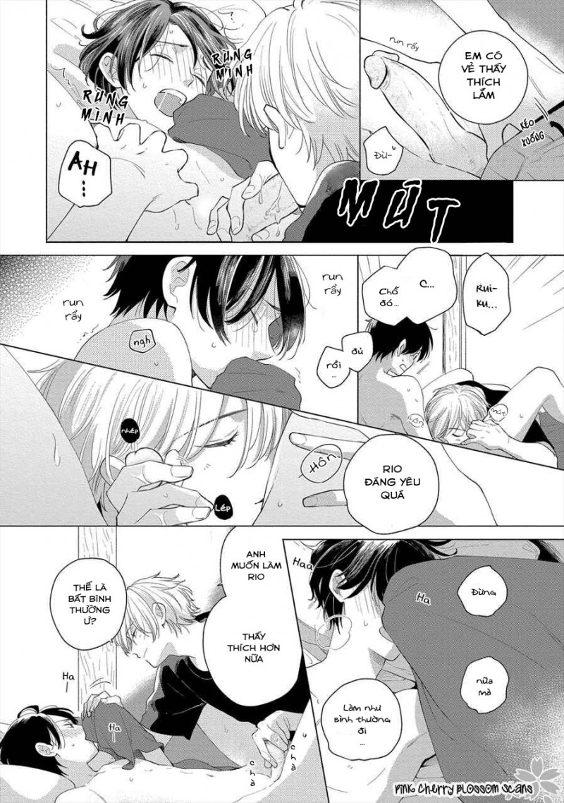Đọc truyện Mùa Hoa Anh Đào - Chapter 5