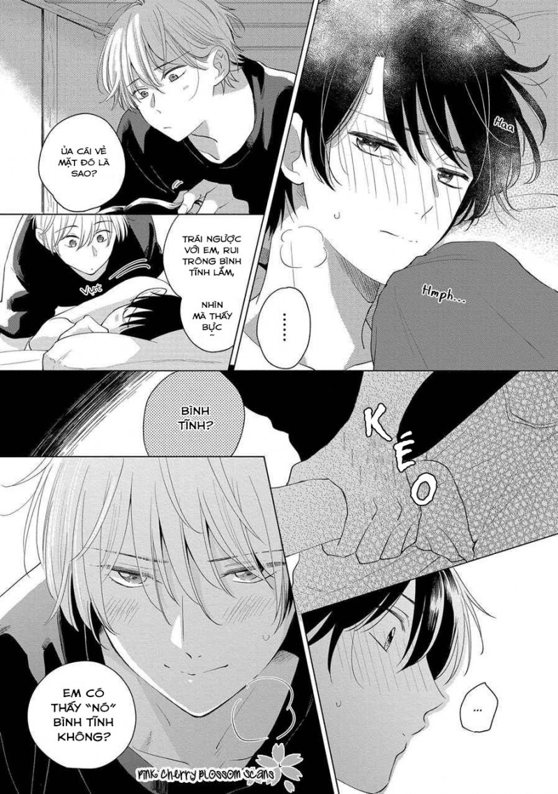 Đọc truyện Mùa Hoa Anh Đào - Chapter 5