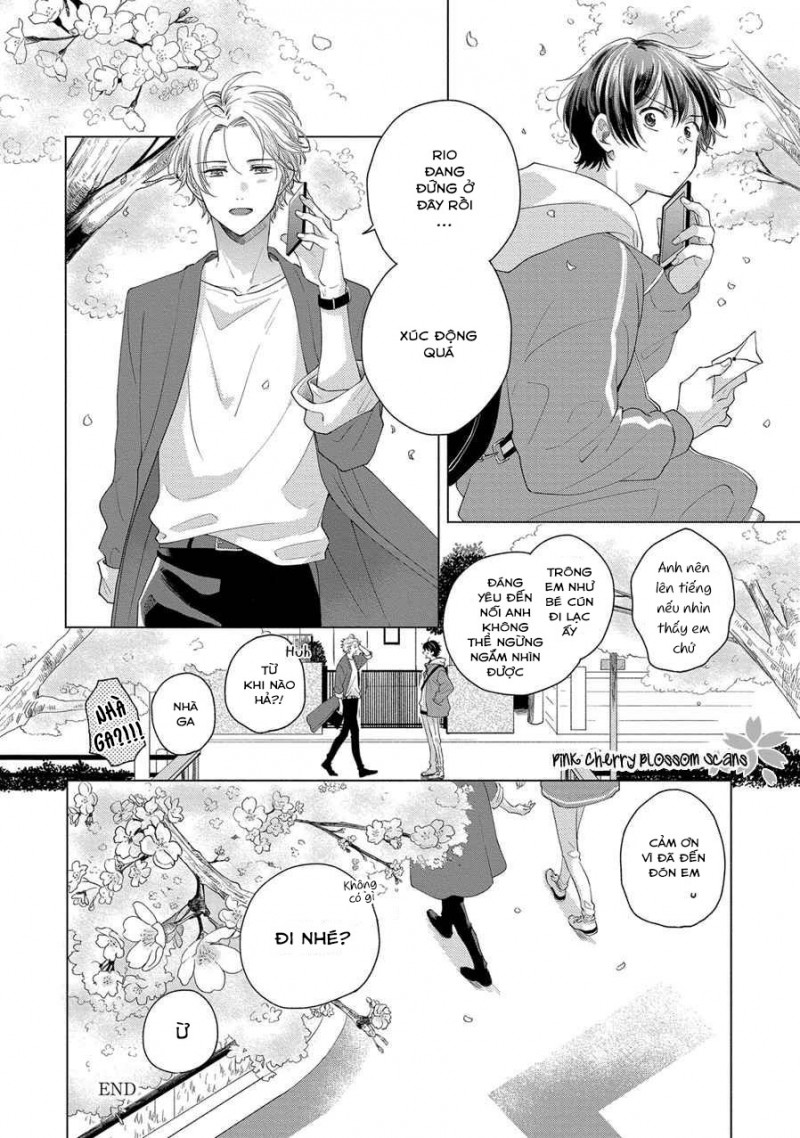 Đọc truyện Mùa Hoa Anh Đào - Chapter 5