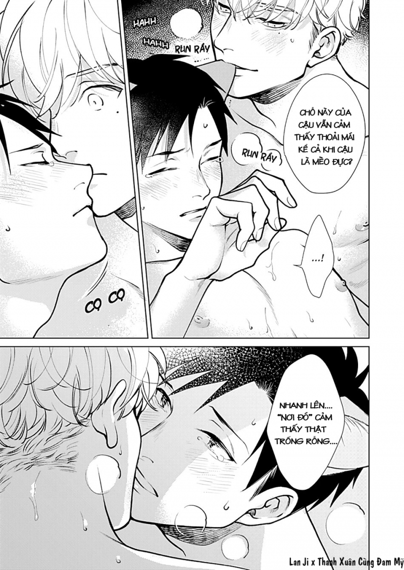 Đọc truyện Neko de Neko no Neko desu - Chapter 0