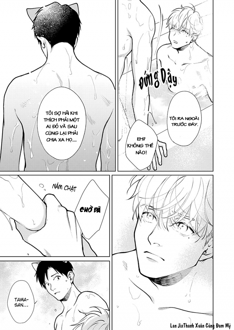 Đọc truyện Neko de Neko no Neko desu - Chapter 0