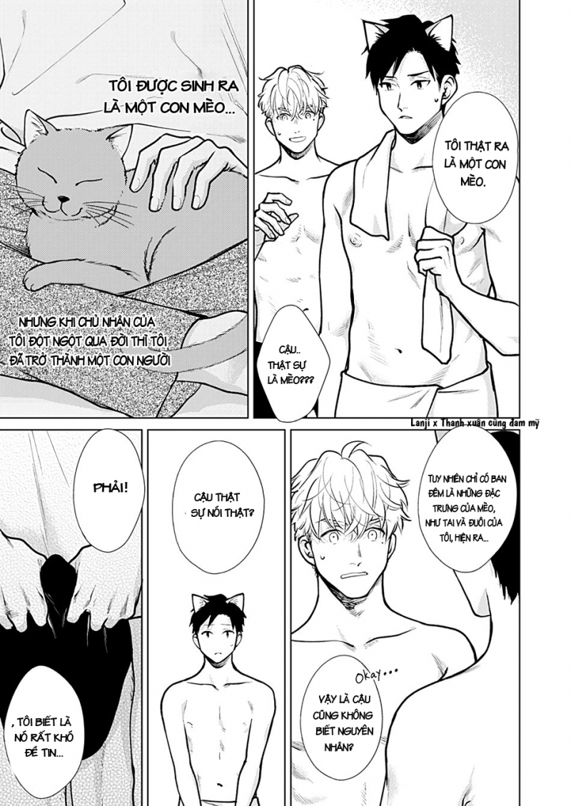 Đọc truyện Neko de Neko no Neko desu - Chapter 0